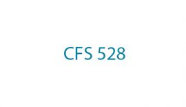 CFS 528 Τραπεζική Οικονομική και Χρηματοδότηση Επιχειρήσεων