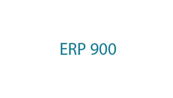 ERP 900: Πρακτική Άσκηση