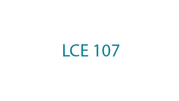 LCE 107 Αγγλικά για Εμπόριο, Χρηματοοικονομικά και Ναυτιλία Ι